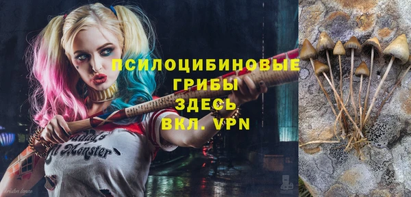 винт Алексеевка