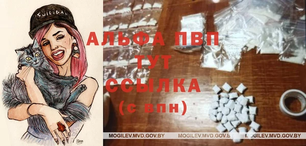 винт Алексеевка