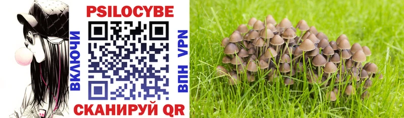 купить закладку  Нурлат  Псилоцибиновые грибы MAGIC MUSHROOMS 